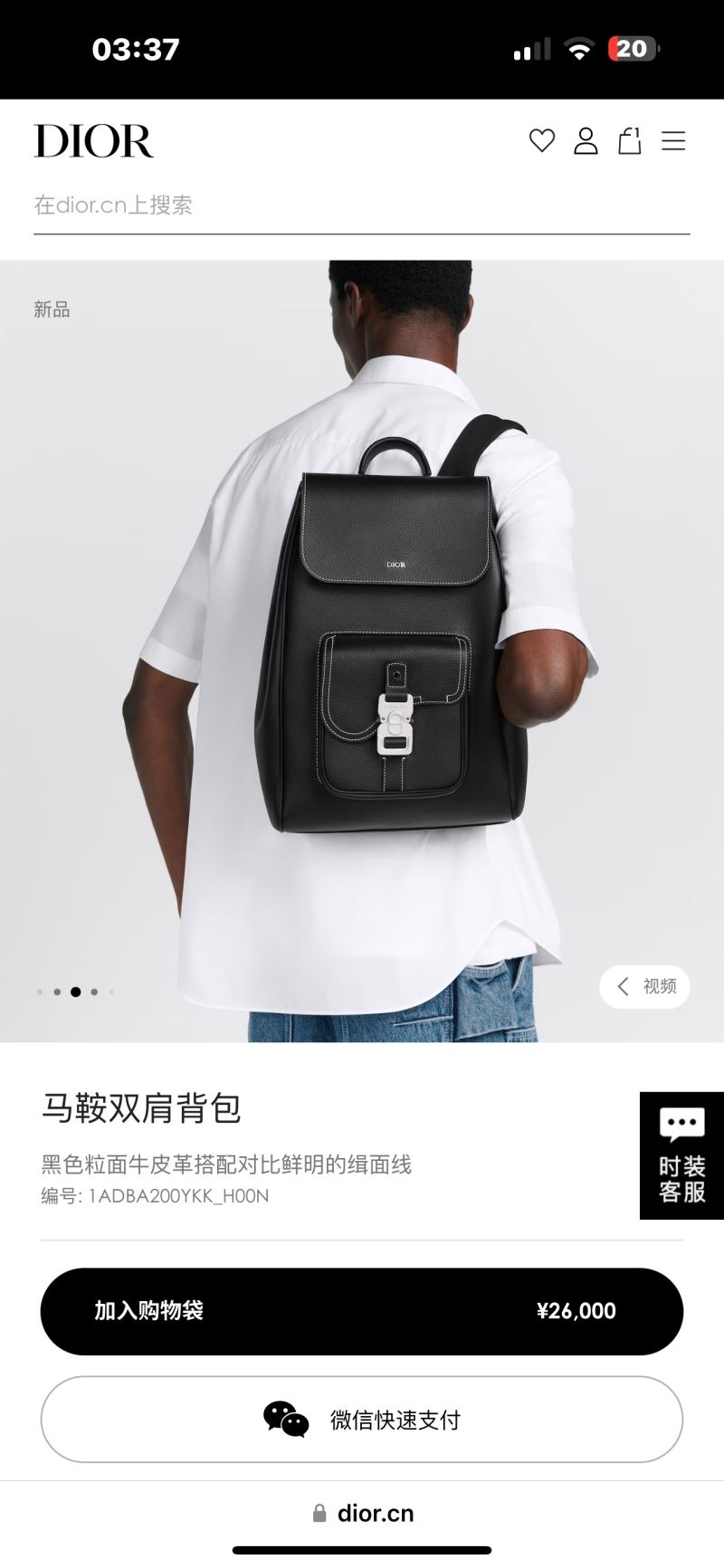 Christian Dior Backpacks